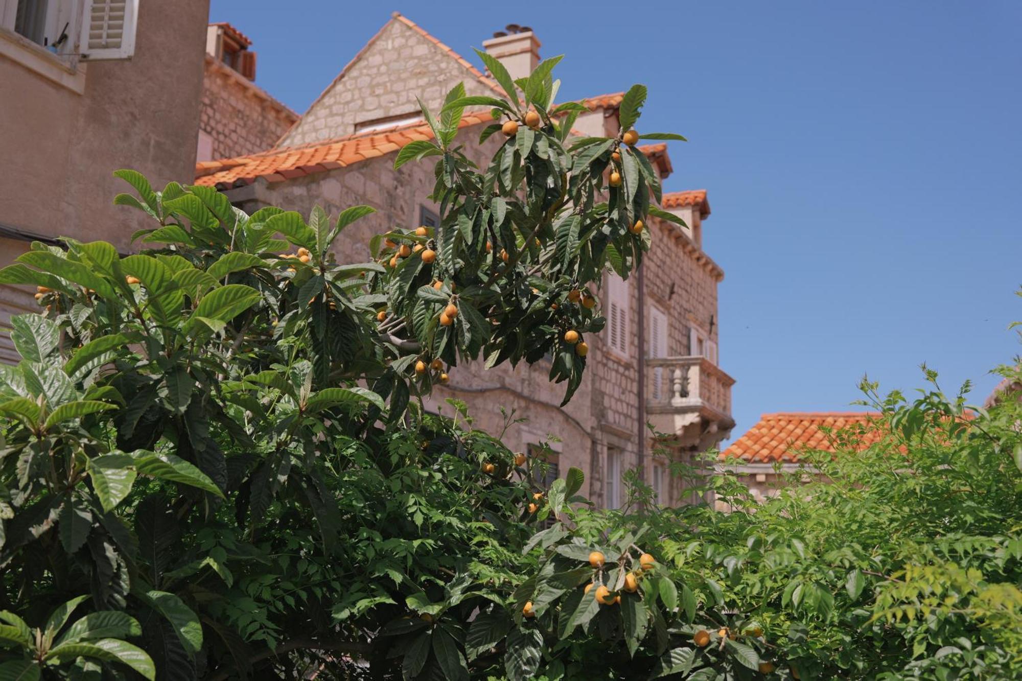 Old Town Green Oasis House Dubrovnik Kültér fotó