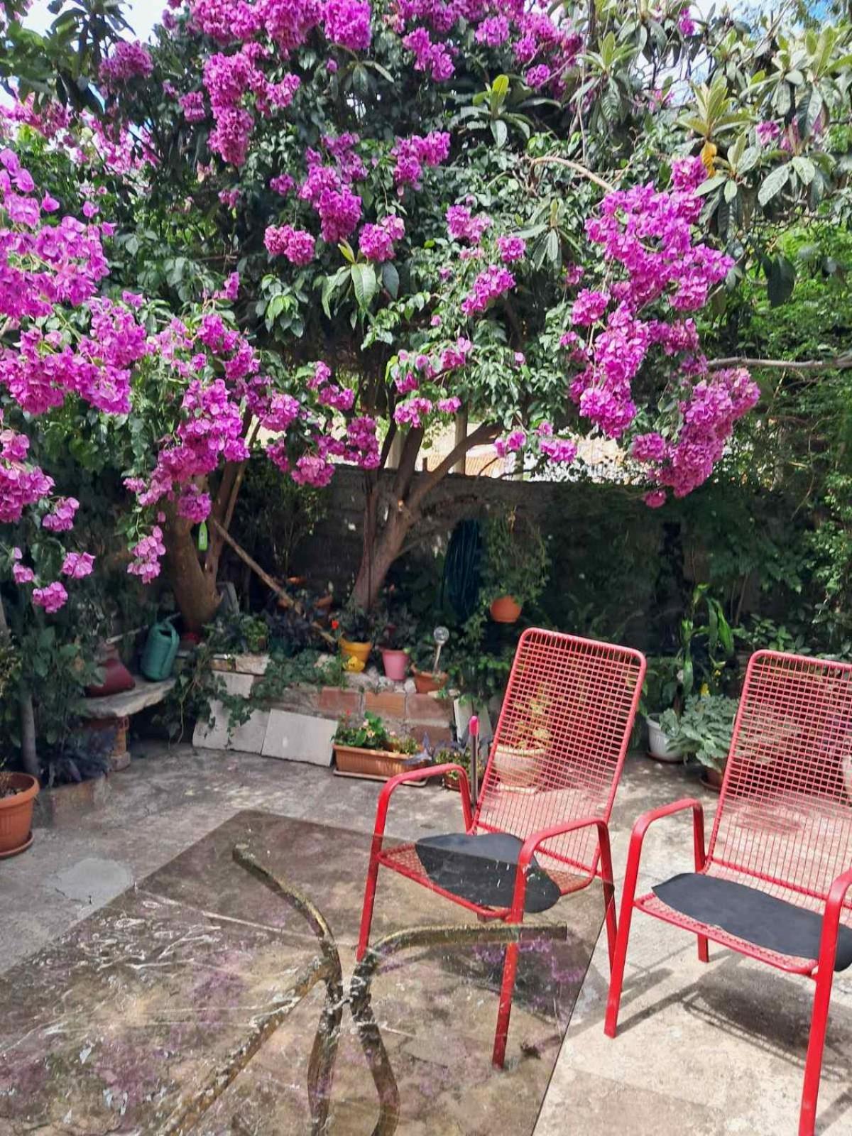 Old Town Green Oasis House Dubrovnik Kültér fotó